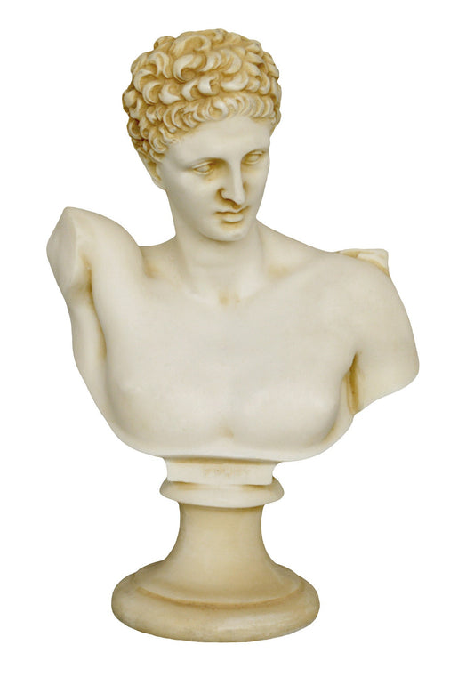 Hermes Mercury Bust - God of Trade, Wealth, Luck, Fertility, Animal Husbandry, Sleep, Language, Thieves, and Travel - Aged Alabaster Statue