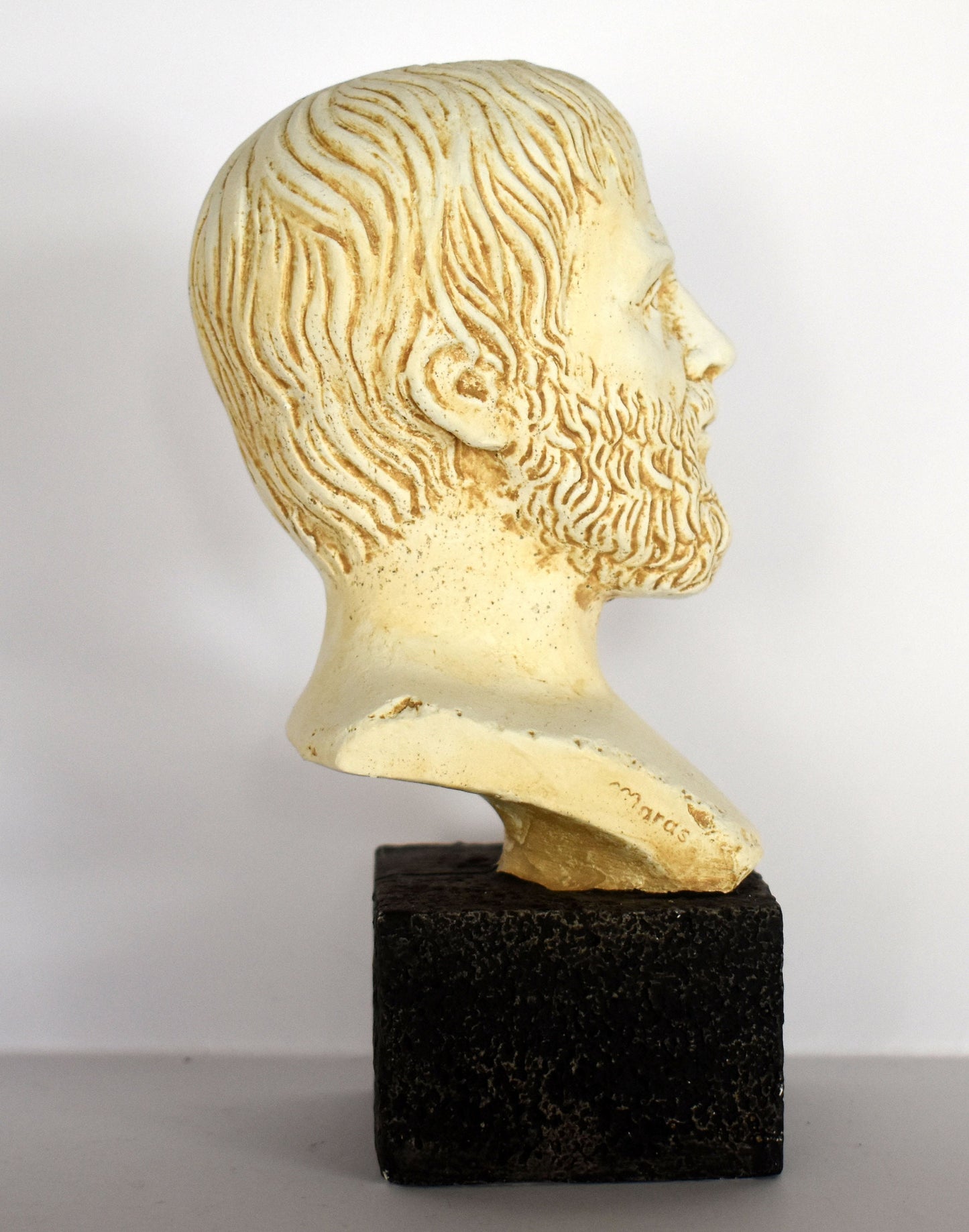 Aristotle - Student of Plato, Father of Western Philosophy - museum reproduction - head bust