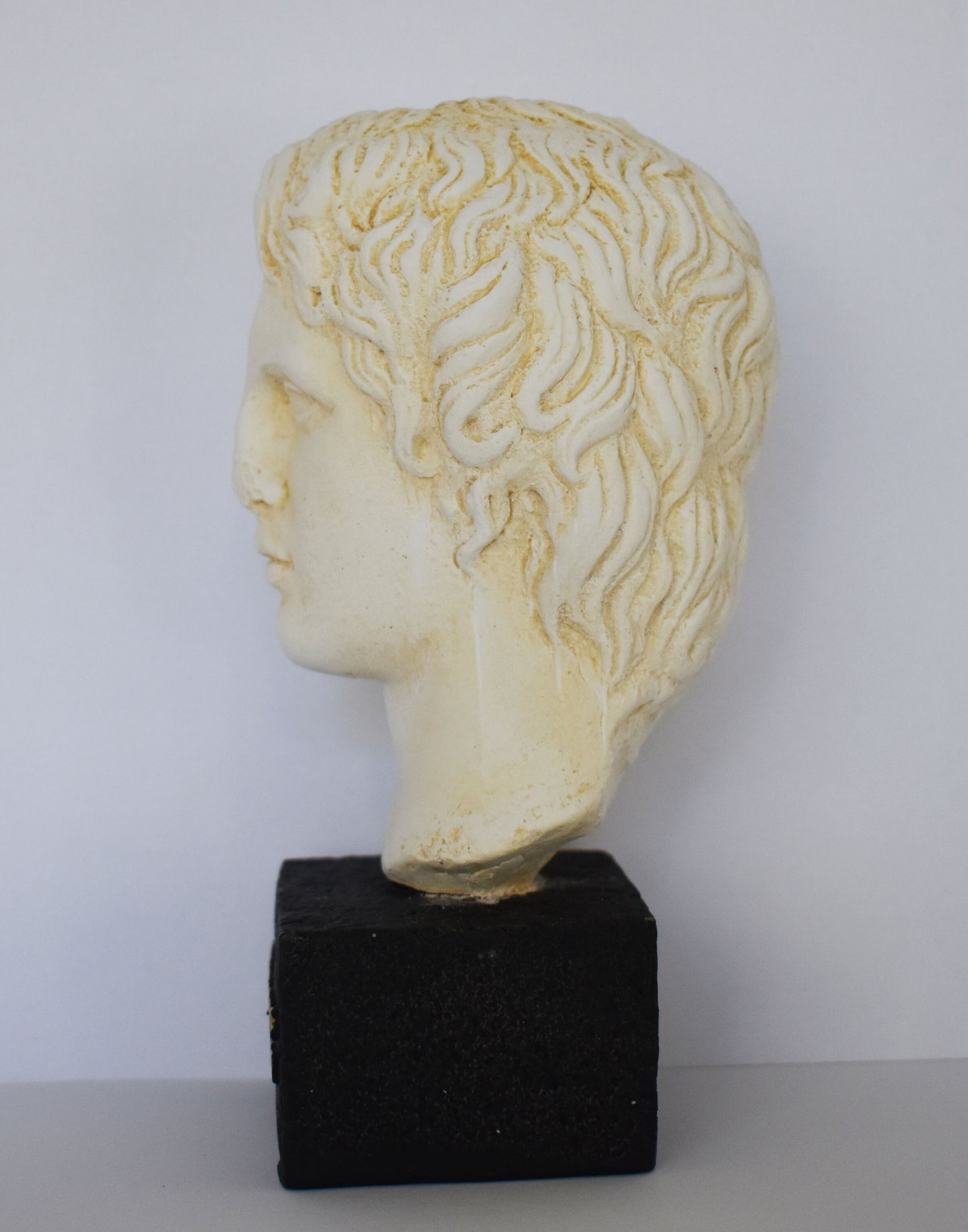 Alexander the Great - Macedonian King - Son of Philip - Student of Aristoteles - Museum Reproduction - Head Bust