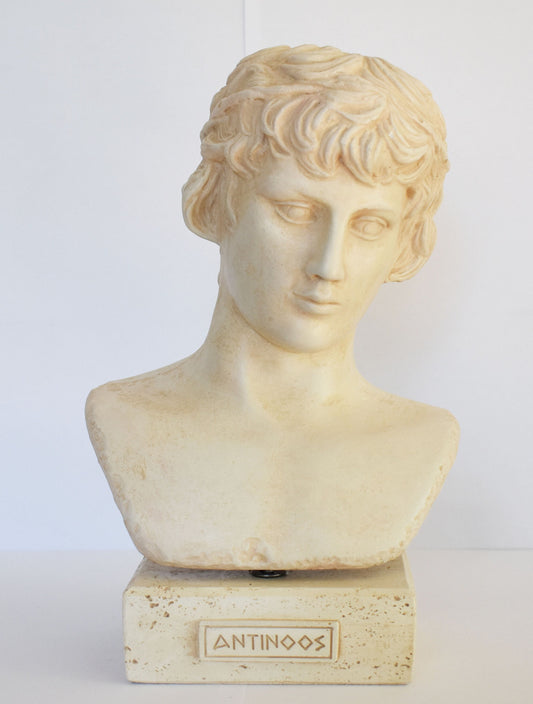 Antinous - Antinoos - An Ancient Love Story with Roman Emperor Hadrian over the Centuries - Museum Reproduction - Head Bust