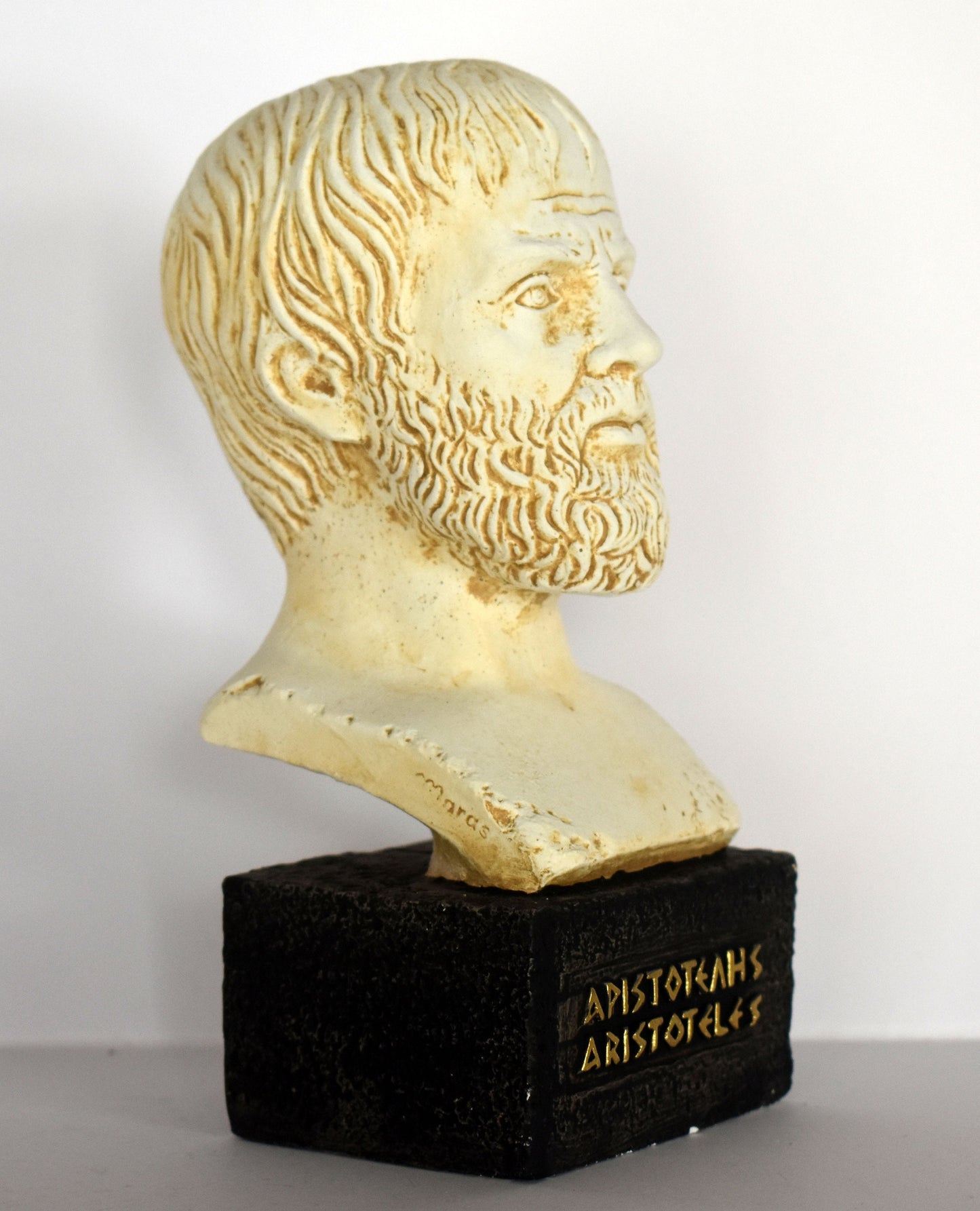 Aristotle - Student of Plato, Father of Western Philosophy - museum reproduction - head bust