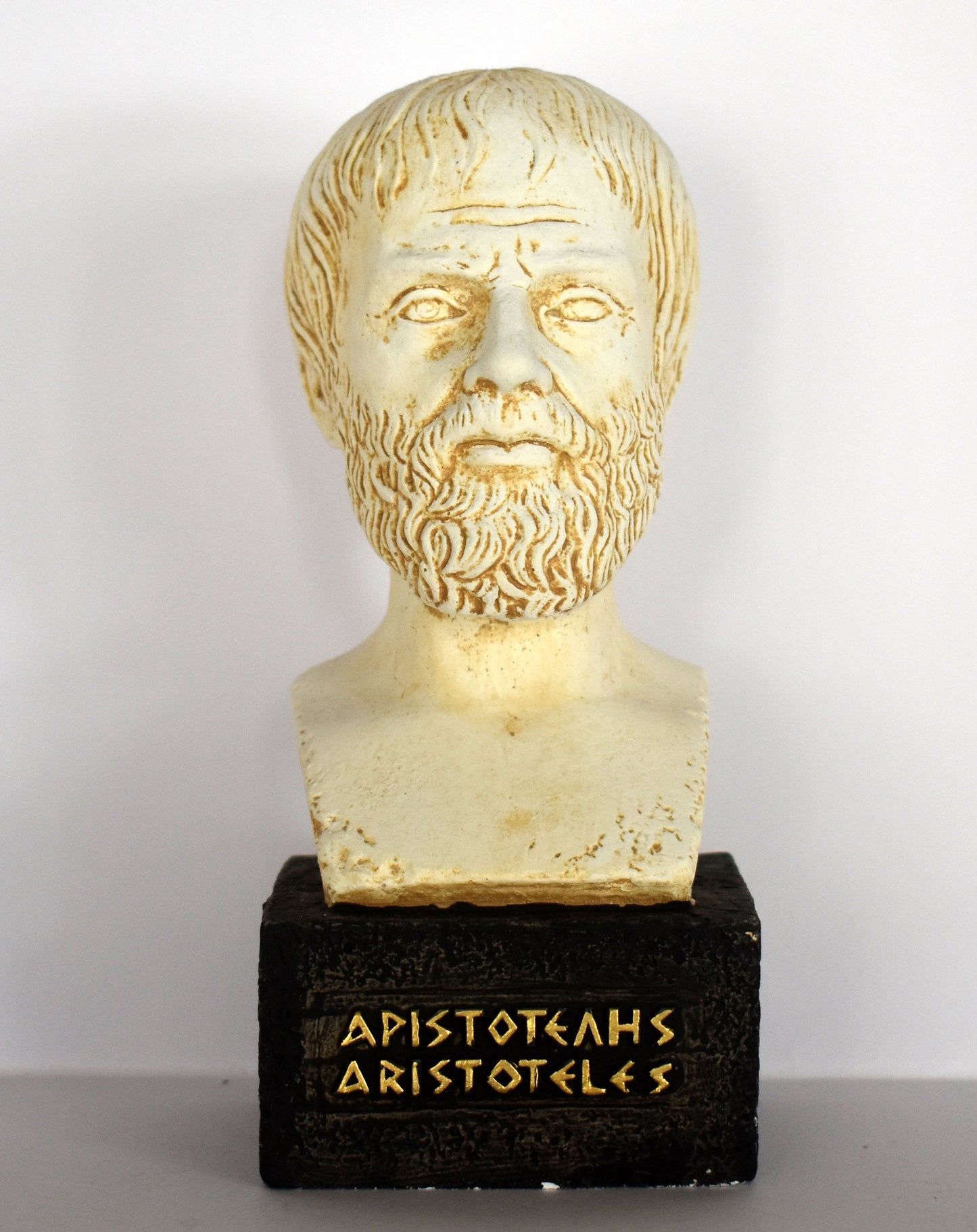 Aristotle - Student of Plato, Father of Western Philosophy - museum reproduction - head bust