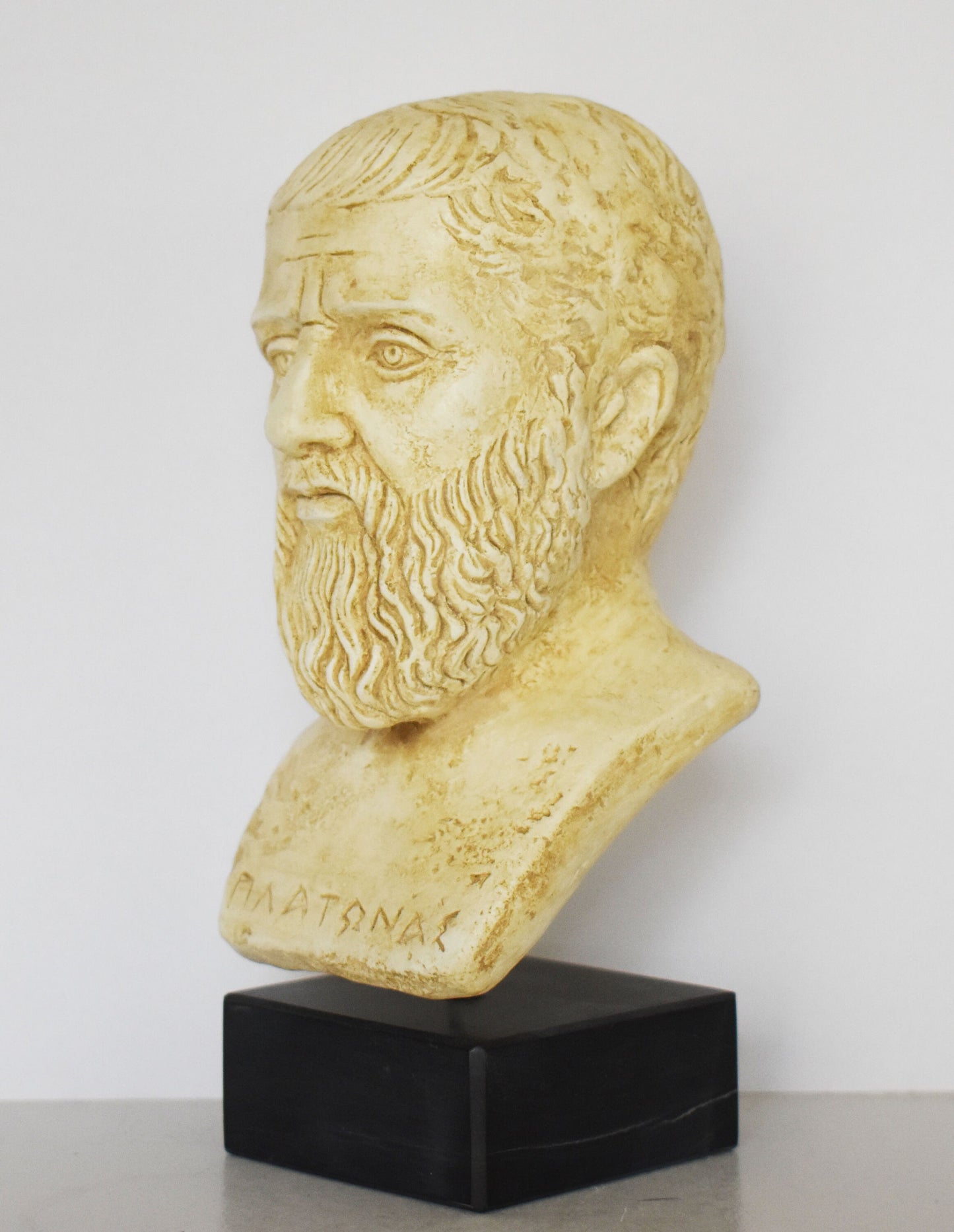 Plato Head Bust - Ancient Greek Philoshopher, laid the first foundations for the fields of philosophy and theology - Marble Base - Replica