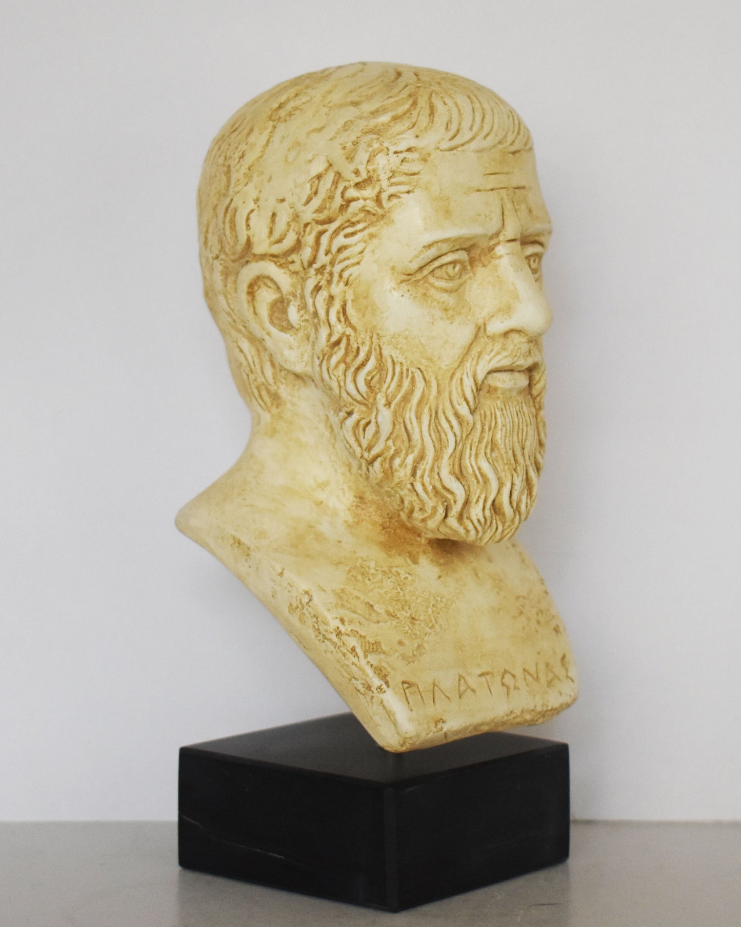 Plato Head Bust - Ancient Greek Philoshopher, laid the first foundations for the fields of philosophy and theology - Marble Base - Replica