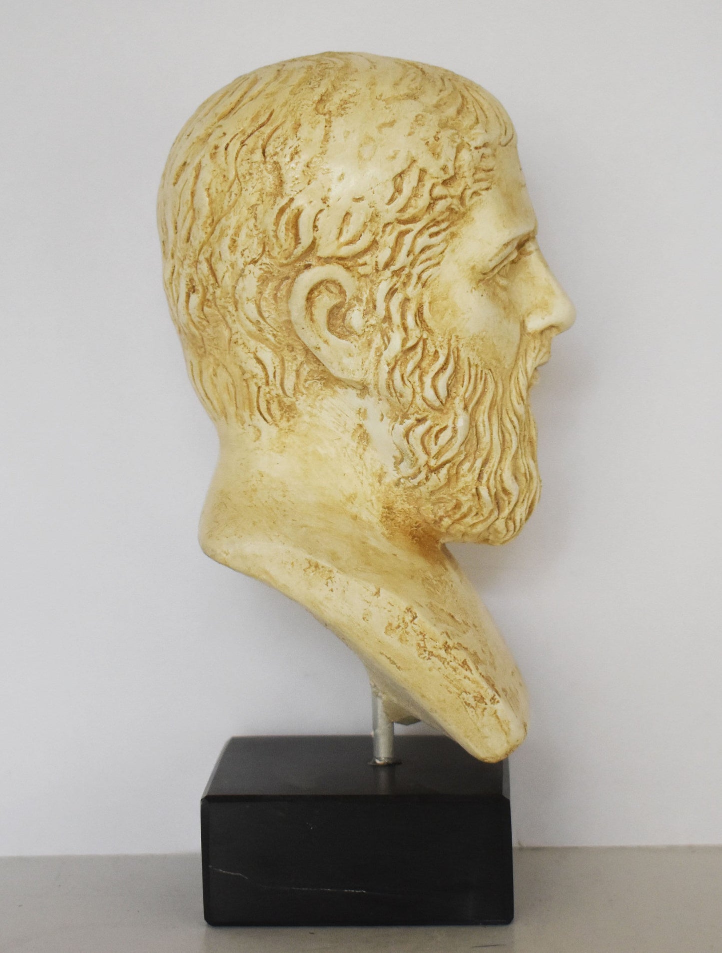 Plato Head Bust - Ancient Greek Philoshopher, laid the first foundations for the fields of philosophy and theology - Marble Base - Replica