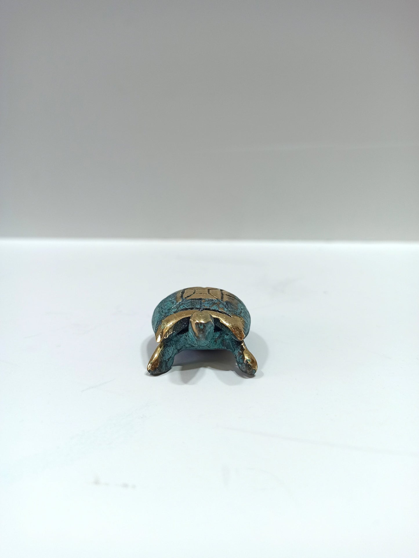 Turtle - reptile with protective shell - Symbol of Wisdom, Knowledge - Personifies Water, the Moon, the Earth, Time, and Fertility - Bronze