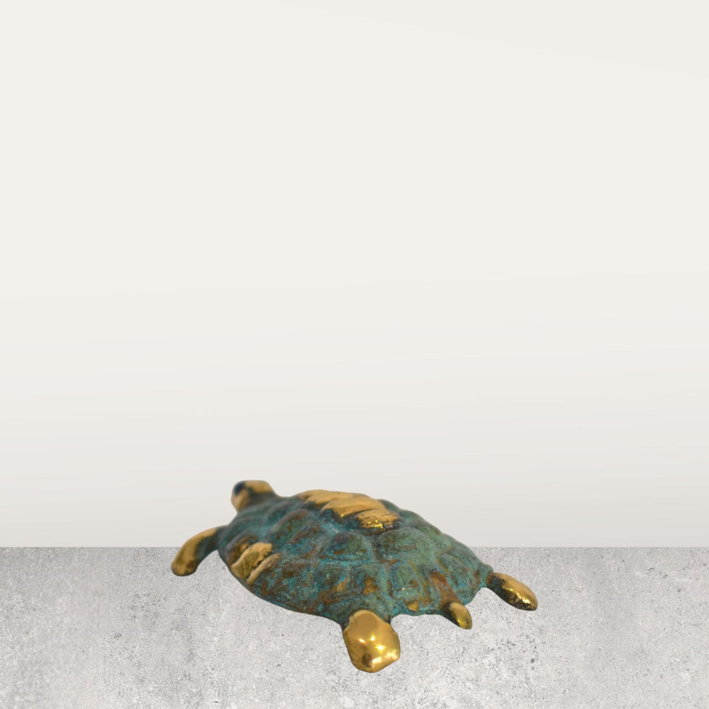 Turtle - God Hermes - Symbol of Wisdom and Knowledge - Personifies Water, the Moon, the Earth, Time, Immortality and Fertility - Bronze