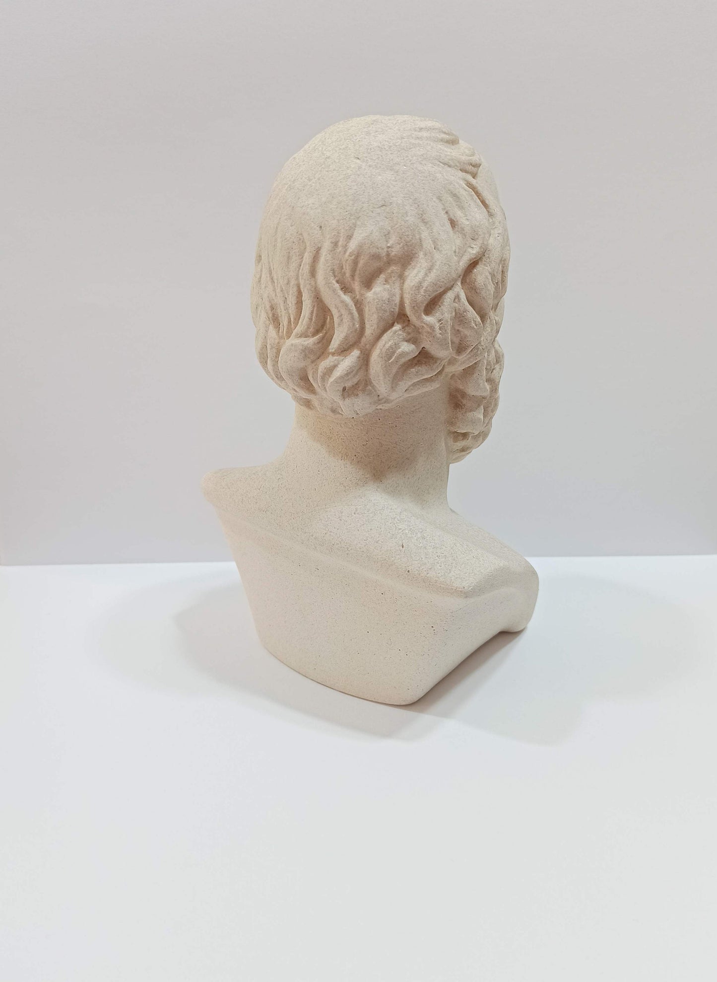 Socrates - The groundwork for Western systems of logic and philosophy, Plato Aristotle Students, Pedagogy - museum reproduction - head bust